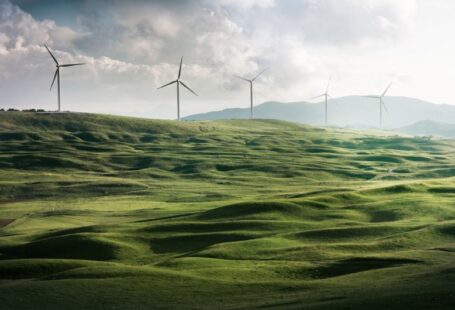 Substitute Energy - wind turbine surrounded by grass