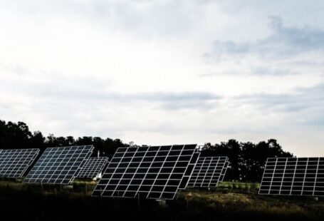 Ecology Solar - silhouette photography of assorted solar panel behind trees