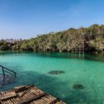 Sumba Solar - brown wooden dock on body of water during daytime