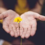 Flores Community - selective focus photography of woman holding yellow petaled flowers