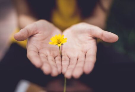 Flores Community - selective focus photography of woman holding yellow petaled flowers