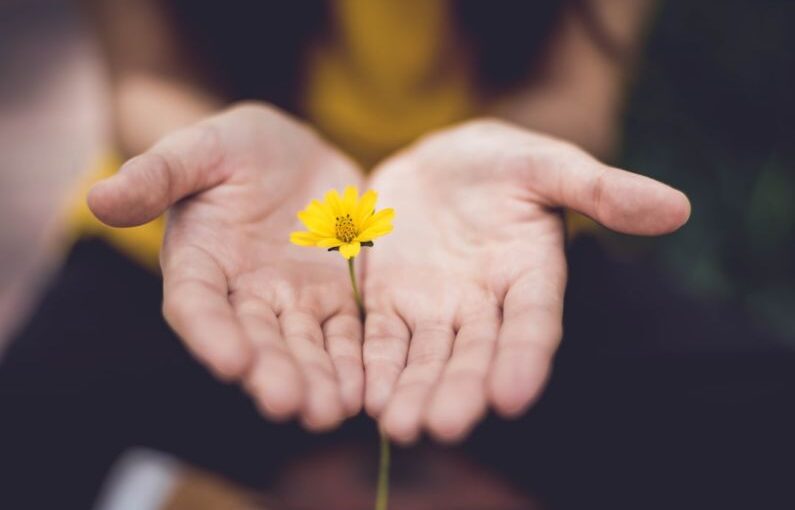 Flores Community - selective focus photography of woman holding yellow petaled flowers