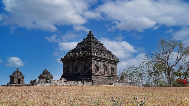 Yogyakarta Heritage - a large stone structure in the middle of a field