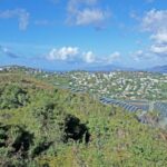 Community Solar - a scenic view of a city from a hill