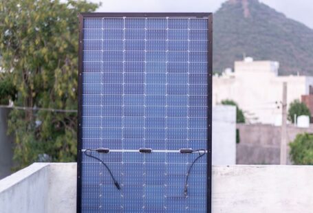 Bifacial Panels - black and white solar panel