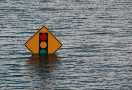 Disaster Recovery - traffic light sign underwater