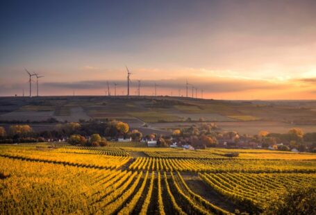 Village Solar - structural shot of wind mills during daytime