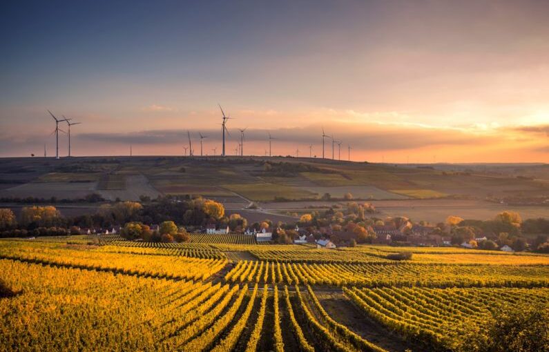 Village Solar - structural shot of wind mills during daytime