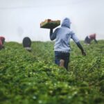 Farming Tips - man in gray hoodie and black pants holding brown cardboard box