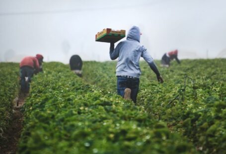 Farming Tips - man in gray hoodie and black pants holding brown cardboard box