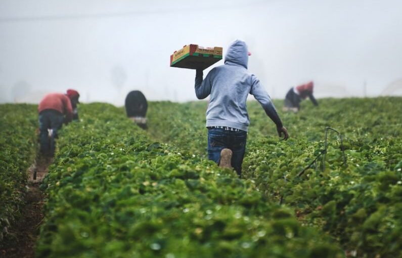 Farming Tips - man in gray hoodie and black pants holding brown cardboard box